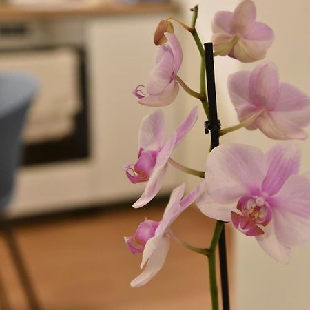 Ηλιόλουστο Apartment Athens Ngoại thất bức ảnh